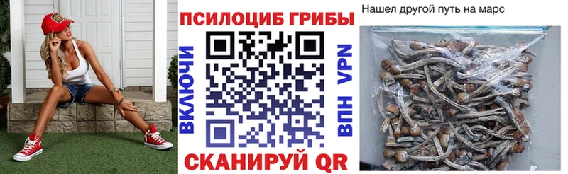 Псилоцибиновые грибы мухоморы  Бодайбо 