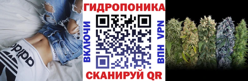 закладки  Бодайбо  Шишки марихуана тримм 